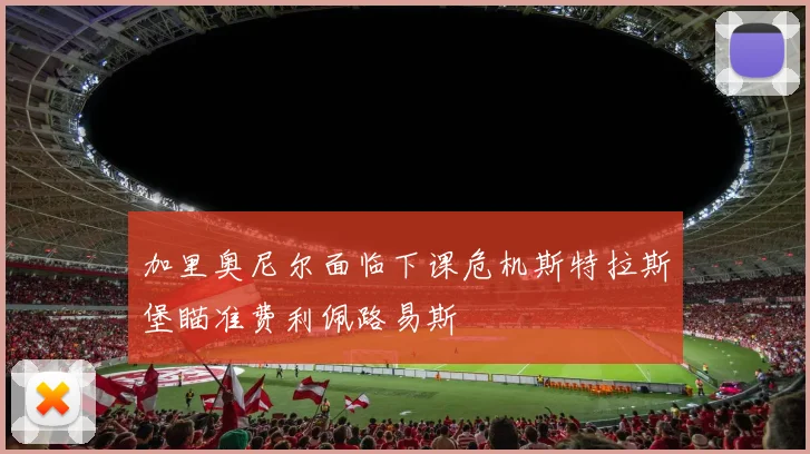 加里奥尼尔面临下课危机斯特拉斯堡瞄准费利佩路易斯