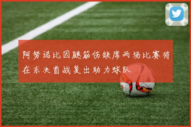 阿努诺比因腿筋伤缺席两场比赛将在东决首战复出助力球队